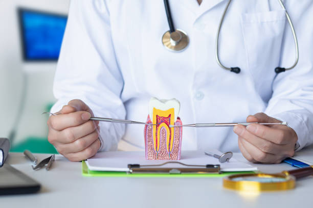 Best Weekend Emergency Dentist in New London, IA